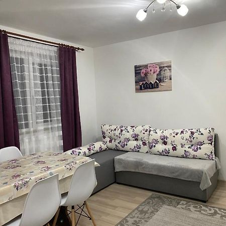 5 Residence Apartment Cavnic Dış mekan fotoğraf