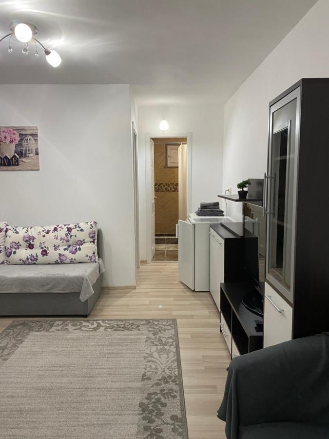 5 Residence Apartment Cavnic Dış mekan fotoğraf