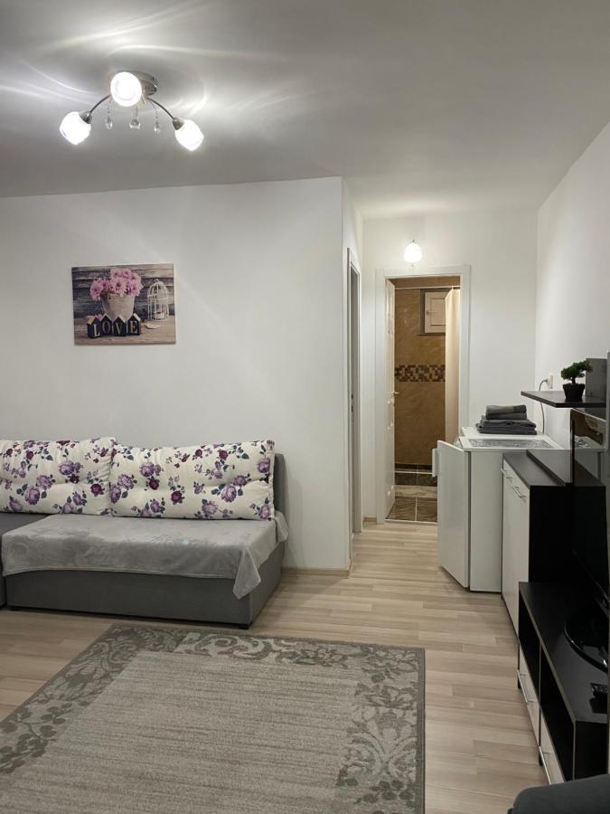 5 Residence Apartment Cavnic Dış mekan fotoğraf
