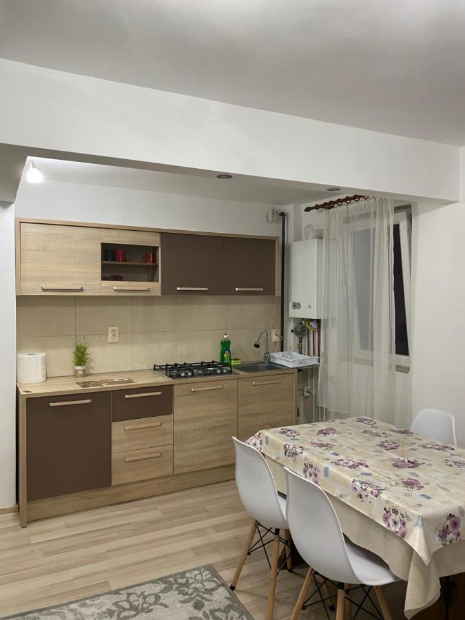 5 Residence Apartment Cavnic Dış mekan fotoğraf