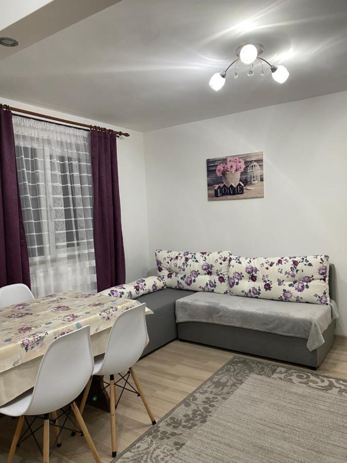 5 Residence Apartment Cavnic Dış mekan fotoğraf